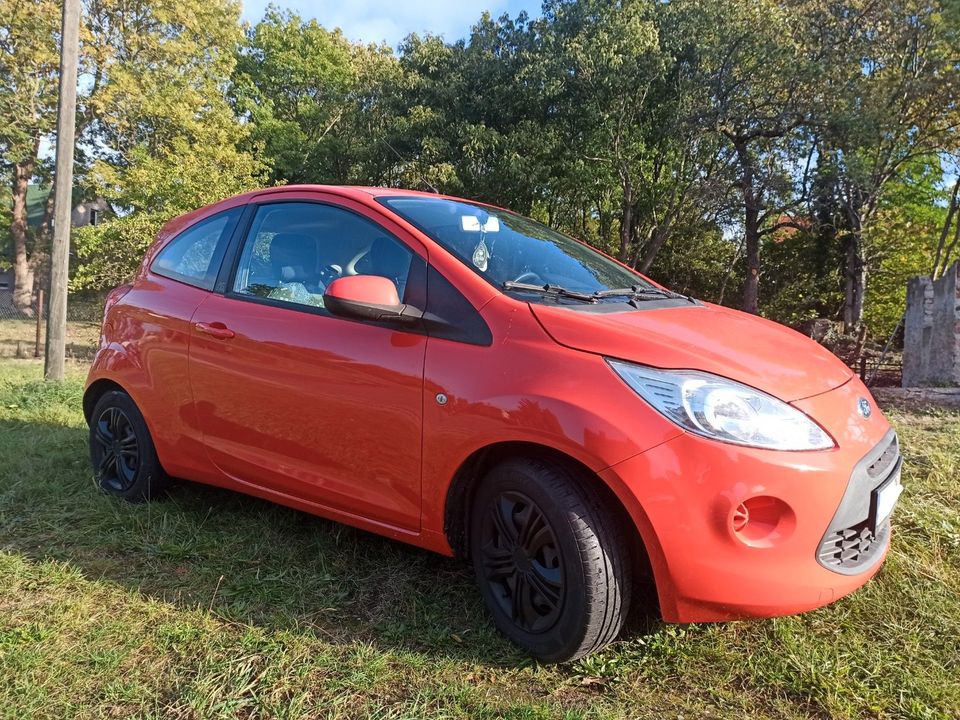 Ford Ka/Ka+ 1,2 Trend Trend in Quitzdorf am See