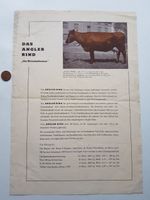 Das ANGLER Rind Die Wirtschaftsrasse Werbung ca.1950 Baden-Württemberg - Leonberg Vorschau