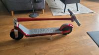 Unagi E-Scooter Model One E500 (Red) Berlin - Treptow Vorschau