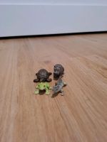 Mini Schleich Frosch, Nilpferd, Krokodil und Schildkröte Schleswig-Holstein - Büdelsdorf Vorschau