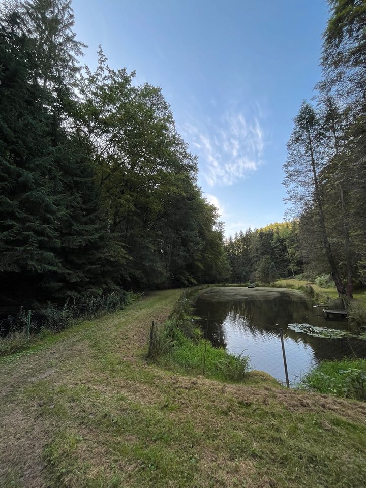 Fischerweiher Trulben/Pirmasens Hilstbach in Hilst