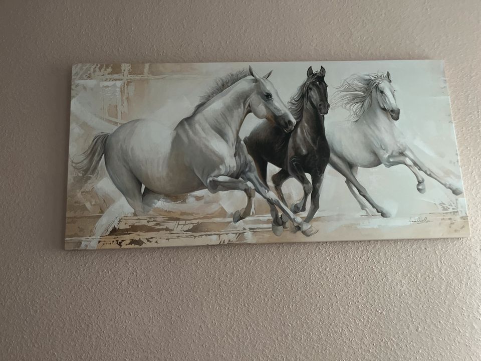 Wandbild  mit Pferden in Nürnberg (Mittelfr)