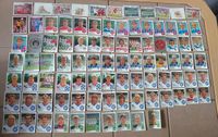 Panini Fußball Bundesliga 1990 ca 200 Stück Mecklenburg-Vorpommern - Pasewalk Vorschau