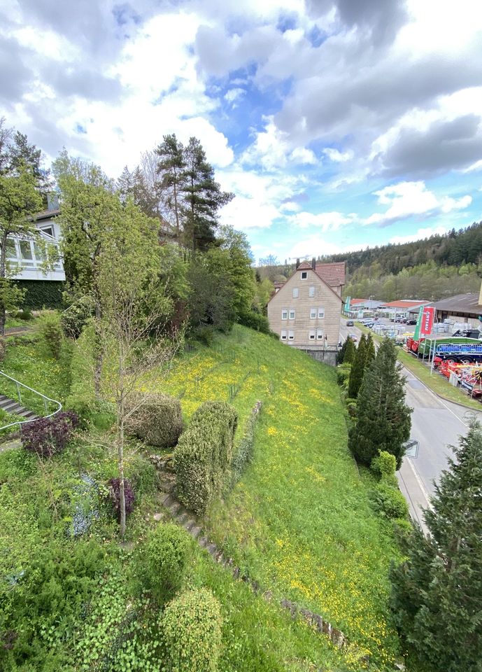 Bauplatz 736 m² in Altensteig MFH in zentraler Südhanglage in Altensteig