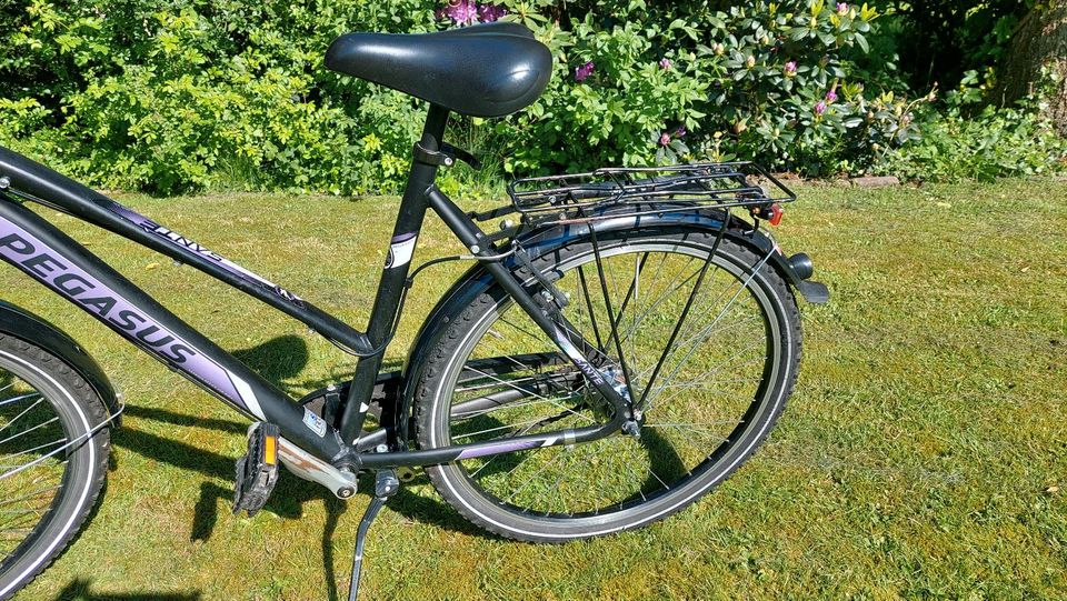 Pegasus Sante 26 ° Zoll Fahrrad schwarz in Beverstedt