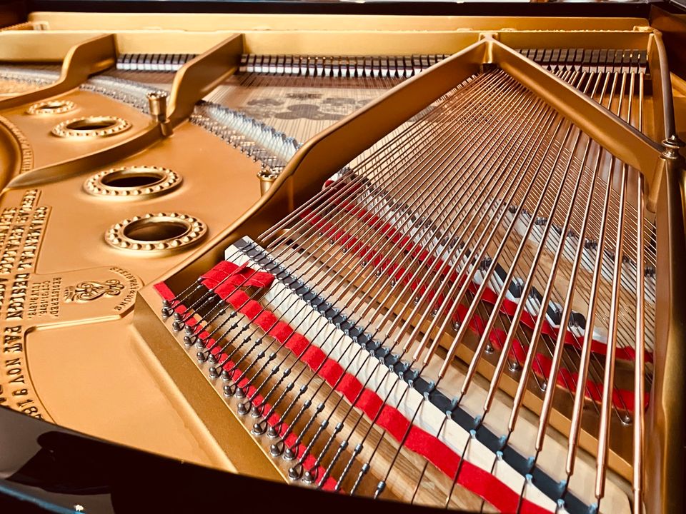 Steinway & Sons A-188 Paderewski Flügel • 5 J. Garantie in Unterwössen