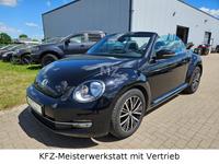 Volkswagen Beetle Cabriolet Allstar  TÜV 03/27 ERST 104tkm Niedersachsen - Winsen (Aller) Vorschau