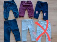 5 Hosen Jogginghosen Minnie Maus Peppa blau Niedersachsen - Bodenwerder Vorschau