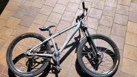 Dirtbike Azonic DS 1 Baden-Württemberg - Mönsheim Vorschau