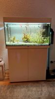 Aquarium Juwel 120l Baden-Württemberg - Weinheim Vorschau