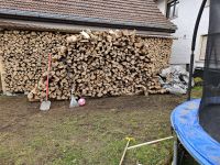 Holz, gespalten, Esche Bayern - Bad Rodach Vorschau