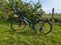 Damenrad Fahrrad Wheeler Cross 3600 Bayern - Dinkelscherben Vorschau