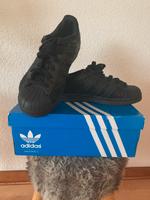 Schwarze Adidas Superstars Gr 38 Print Nordrhein-Westfalen - Lemgo Vorschau