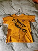 Dynamo Dresden Fanshop Thsirt Sachsen - Chemnitz Vorschau