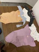 Tolle 6 bodies Baby Mädchen Größe 74/80 und 80 Hessen - Viernheim Vorschau