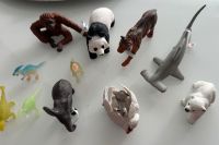 Schleich Schleich Tiere  Set Wuppertal - Elberfeld Vorschau