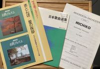 Noten japanische Musik und Michiko Partitur Niedersachsen - Buxtehude Vorschau