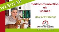 Die Chance der Tierkommunikation entdecken ! kostenfreies Infoweb Bayern - Rieden a. Forggensee Vorschau