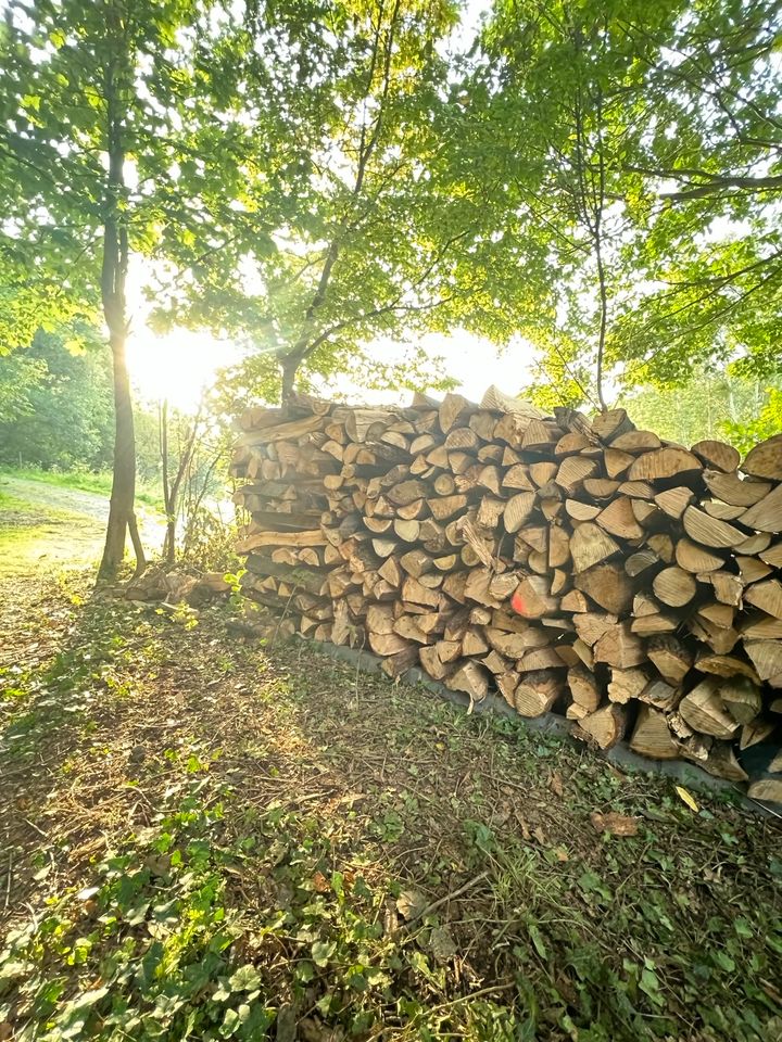 Meterstücke Brennholz Kaminholz 1Rm in Hillscheid