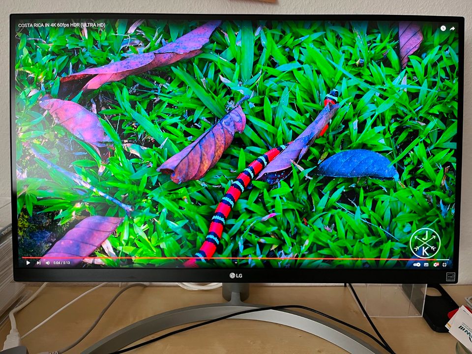 LG 27UL600-W, 4K, UHD, Monitor in Kiel