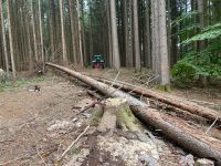 Suche Holz hart weich Holz zum selber fällen Brennholz Bayern - Dietmannsried Vorschau