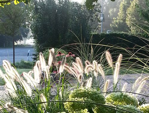 Landschaftsgärtner:in (m/w/d) bei Blumen & Pflanzen Jaeger in Badbergen