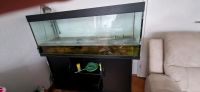 JUWEL Aquarium 450 L Kreis Pinneberg - Uetersen Vorschau