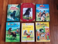 Kinderbücher Kinderbuch Pferde Geschichten Blacky Black Beauty Baden-Württemberg - Erligheim Vorschau