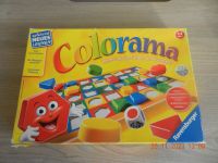 Colorama Ravensburger ab 3 Jahre Brandenburg - Jüterbog Vorschau