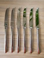 6x Picard & Wielpütz Steakmesser Ventura TOP Niedersachsen - Zeven Vorschau