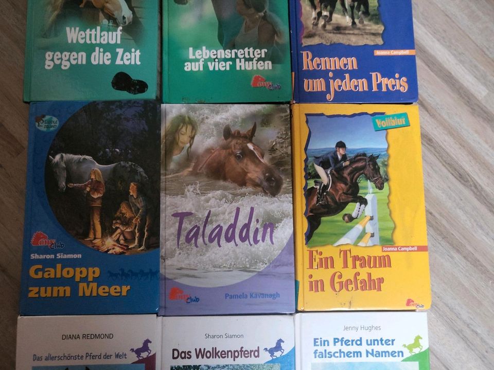 11 Stück Bücher Pony Club Pferdegeschichten Buch Taschenbuch Pfer in Morbach