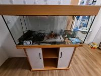 Juwel 160 Liter Aquarium Nordrhein-Westfalen - Meinerzhagen Vorschau