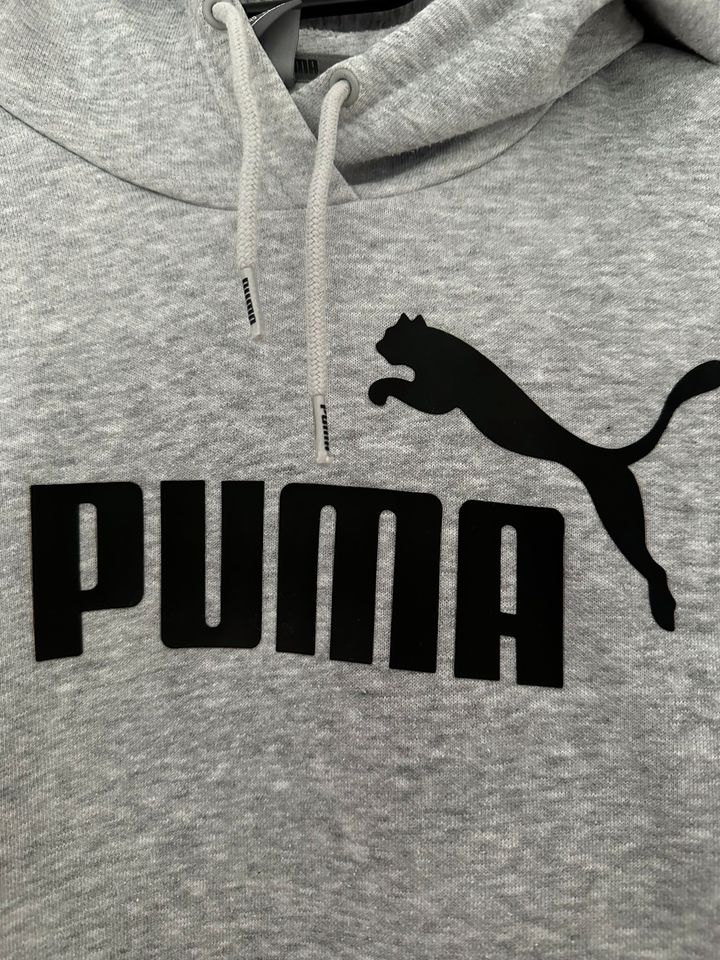 Hoodie, Kapuzenpullover, Puma, Gr. 36, grau in Fürstenwalde (Spree)