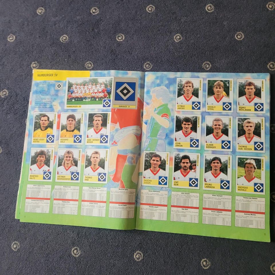 Panini 89 Bundesliga in Altmannstein