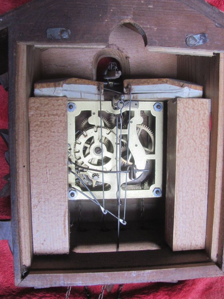 Alte echte Kuckuksuhr mit beweglichem Kuckuk Uhr in Leipzig
