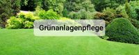 ❌️ Grünanlagenpflege uvm ❌️ Brandenburg - Rheinsberg Vorschau