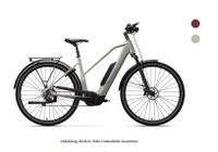 ADVANCED Trekking Plus Mixed 45cm (S) 725Wh 30% Nachlass Niedersachsen - Osnabrück Vorschau