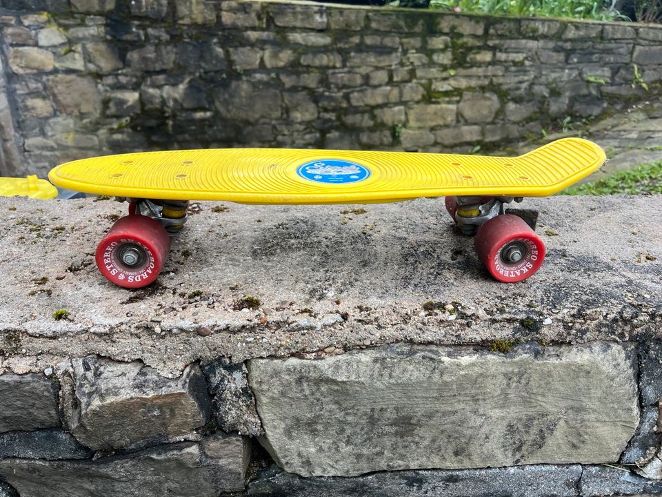 Skateboard / Pennyboard Cruiser in Köln