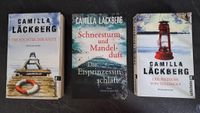 Camilla Läckberg Kriminalromane Bayern - Schwandorf Vorschau