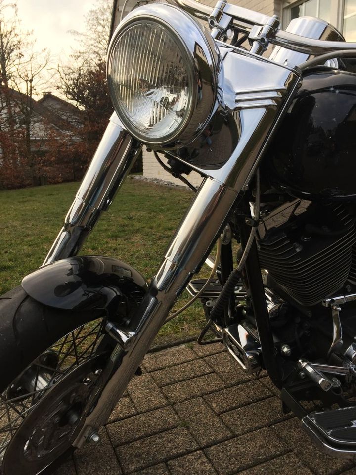 Harley-Davidson Softail FLSTC, Custom Umbau, Vergaser Modell in Schloß Holte-Stukenbrock