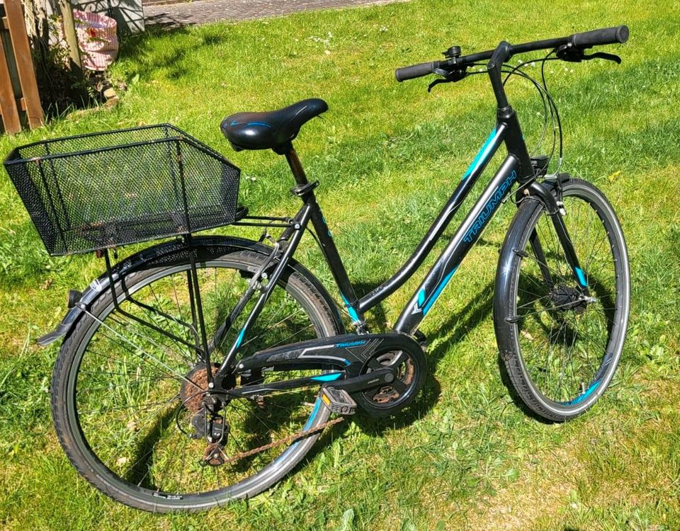 Damenfahrrad; 28er; Gebraucht in Rotenburg (Wümme)