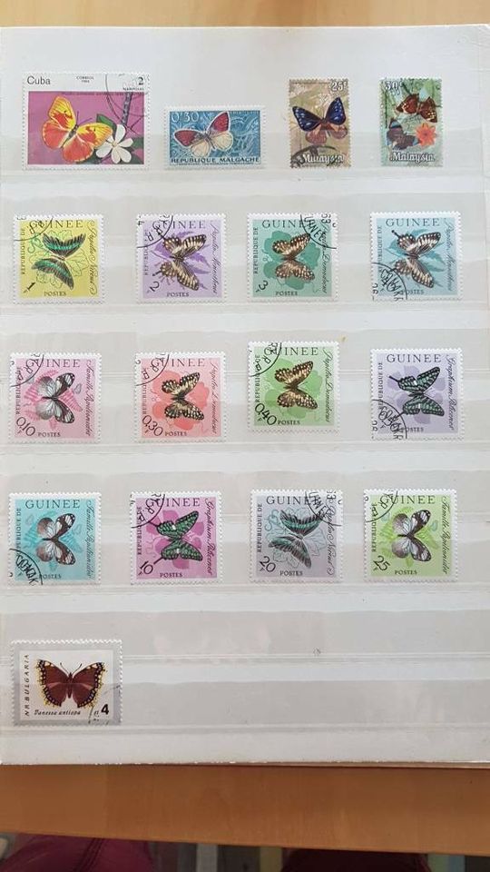 Briefmarken Sammlung Sets Weltraum Blumen Tiere usw. in Berlin
