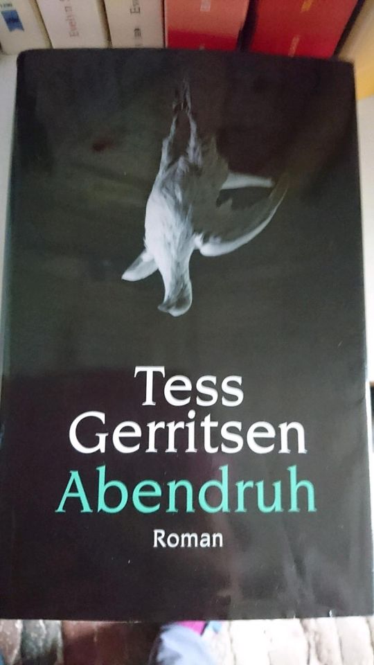 Tess Gerritsen Abendruh in Solms