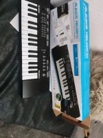 Alesis Melody32 Keyboards Pianist Niedersachsen - Wilhelmshaven Vorschau