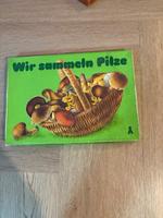 DDR Spiele „ Wir sammeln Pilze „ Bayern - Rödental Vorschau