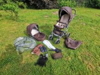 Kinderwagen von knorr Baby Carbon Mecklenburg-Strelitz - Landkreis - Burg Stargard Vorschau