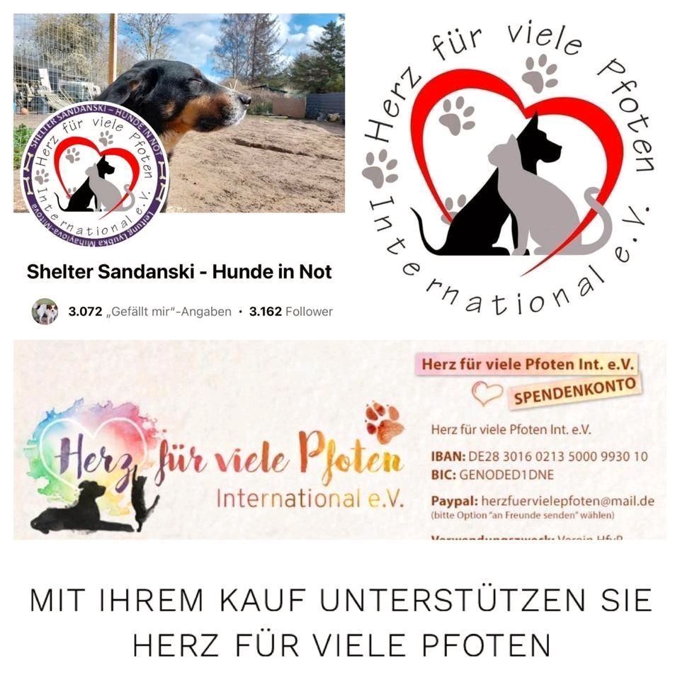 Knuffelwuff Orthopädisches Hundebett Amelie schwarz M-XXXL in Calden