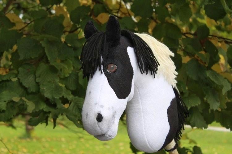 Finnisches Hobbyhorse/Steckenpferd gescheckt und gepfleckt in Velbert