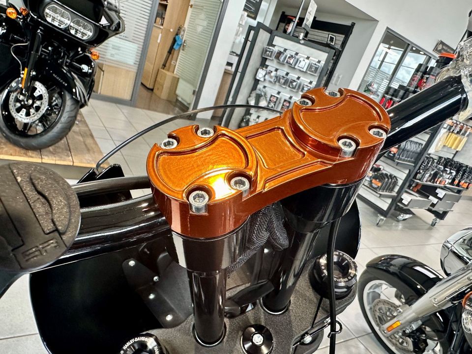 Harley-Davidson Low Rider S  JEKILL & HYDE  Custom  FXLRS MY21 in Karlsdorf-Neuthard