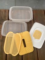 Tupperware Cool‘n Fresh, Aufschnitt-Stapelbox mit Klimadeckel Frankfurt am Main - Nieder-Eschbach Vorschau